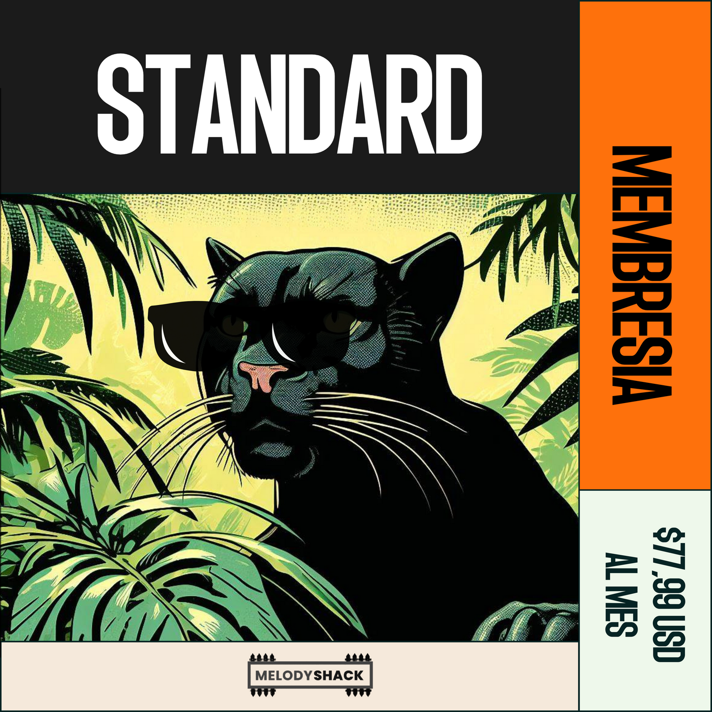 PLAN STANDARD melodyshack